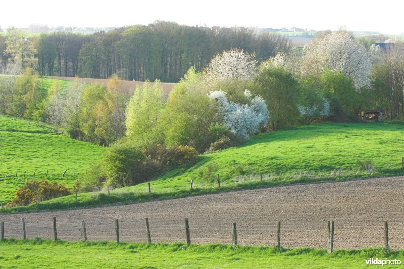 Spichtenberg te Ronse