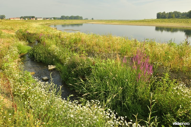 Maasvallei in Dilsen-Stokkem