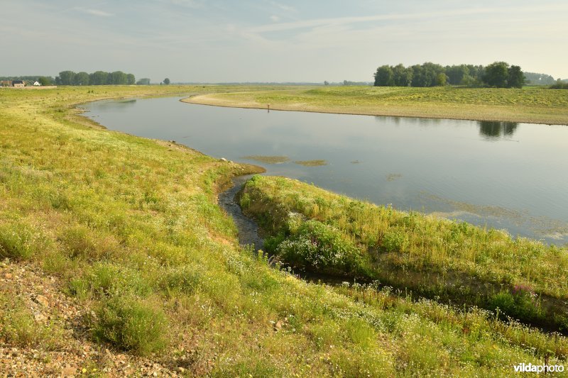 Maasvallei in Dilsen-Stokkem