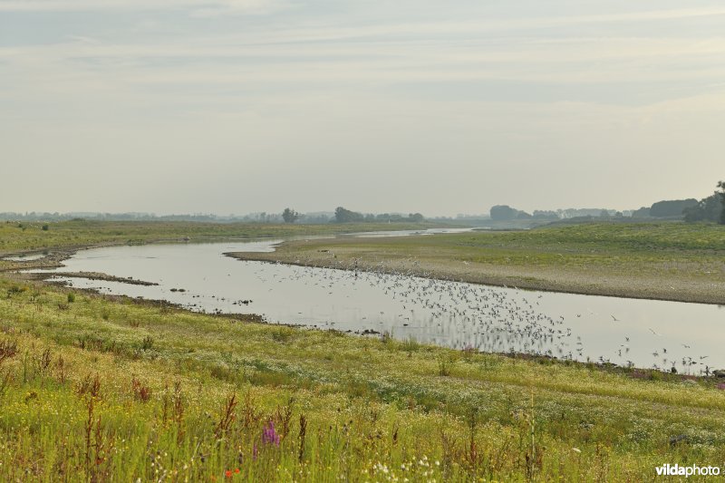 Maasvallei in Dilsen-Stokkem