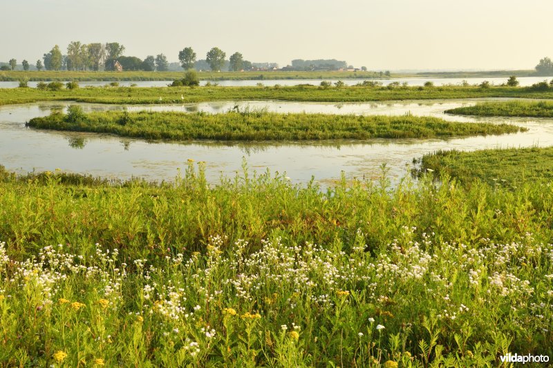 Natuurgebied Negenoord-Kerkeweerd