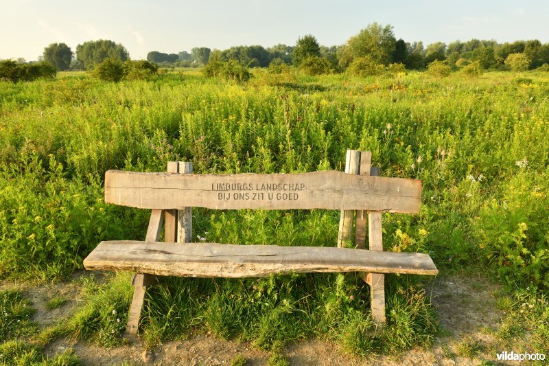 Natuurgebied Negenoord-Kerkeweerd