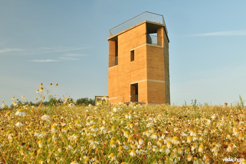 Natuurgebied Negenoord-Kerkeweerd