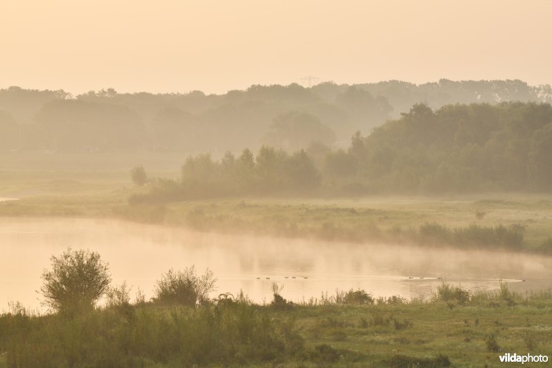 Natuurgebied Negenoord-Kerkeweerd