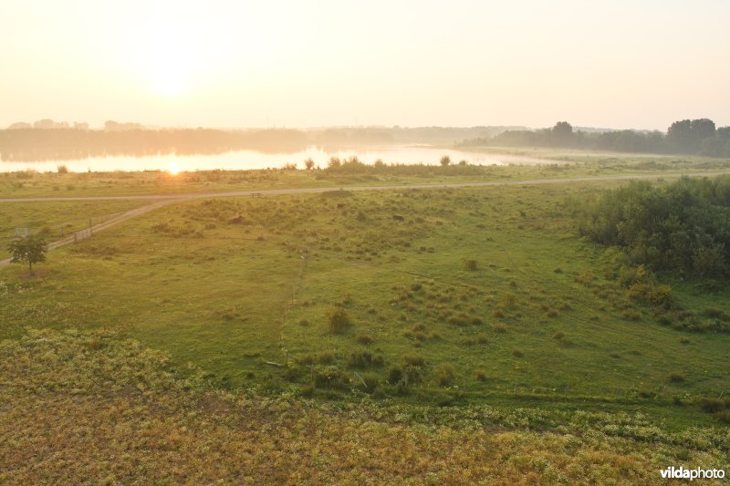 Natuurgebied Negenoord-Kerkeweerd