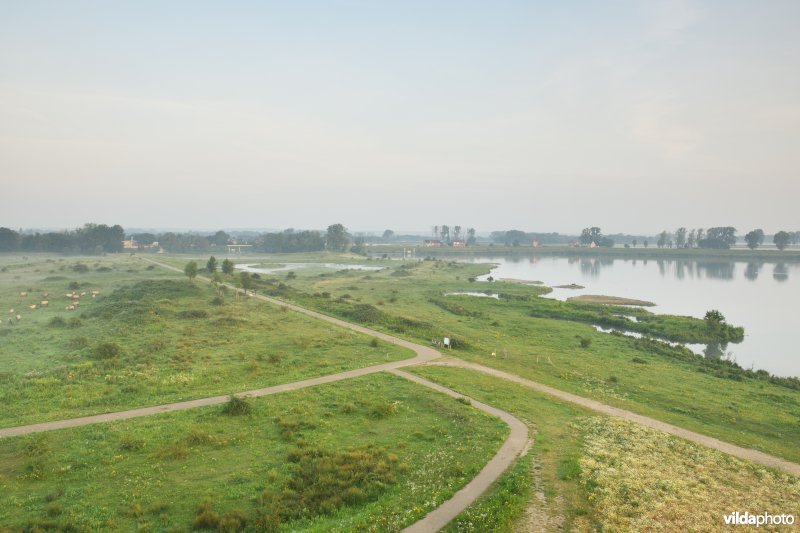 Natuurgebied Negenoord-Kerkeweerd