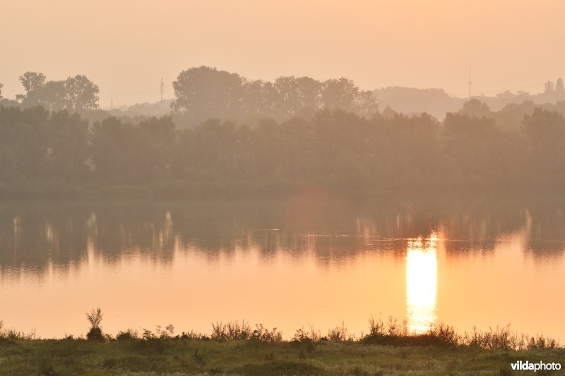 Natuurgebied Negenoord-Kerkeweerd