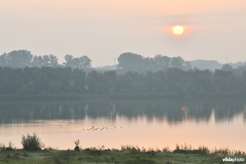 Natuurgebied Negenoord-Kerkeweerd