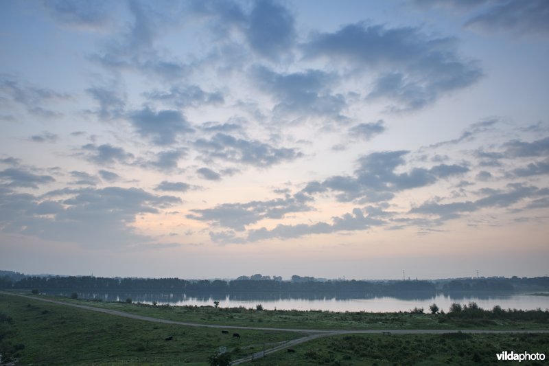 Natuurgebied Negenoord-Kerkeweerd