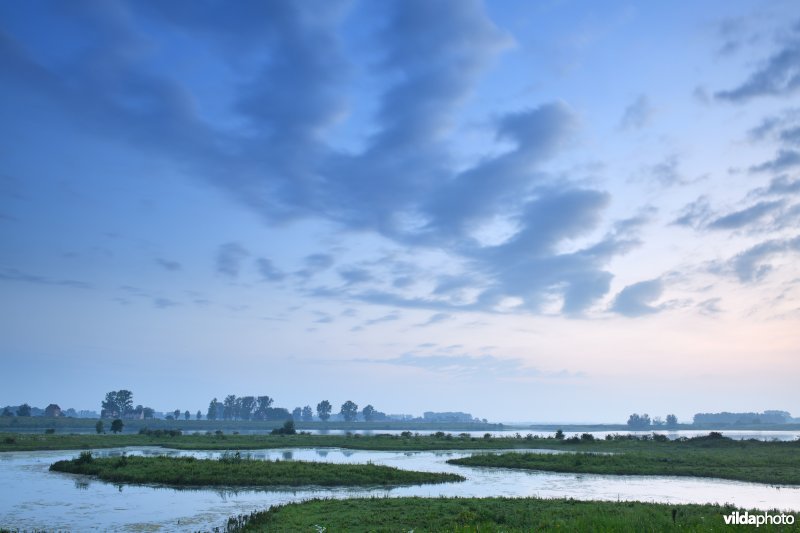 Natuurgebied Negenoord-Kerkeweerd