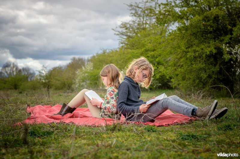 Kinderen lezen boek in de natuur