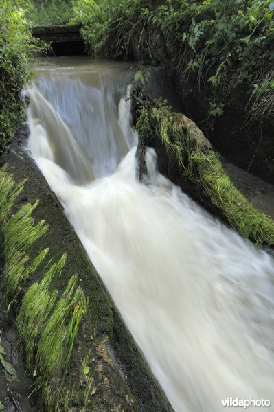 Het Demerbroek