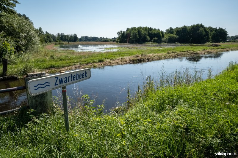 Hoogwater van de Zwarte beek
