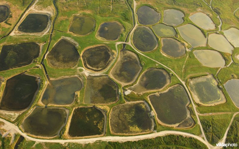 Jachtputten met bunkers