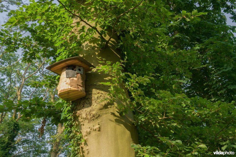 Nestkast voor mezen