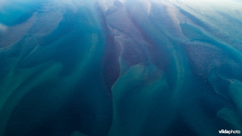 Patronen in Ölfusá rivier, IJsland