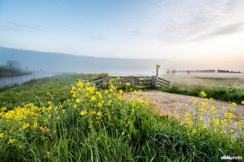 Binnenveldse Hooilanden