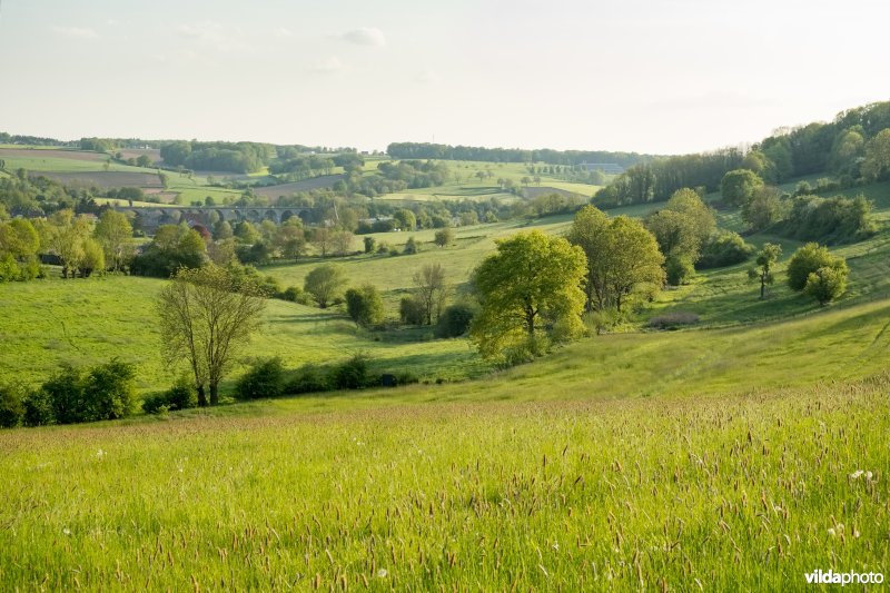 Landschap