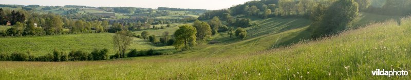 Landschap