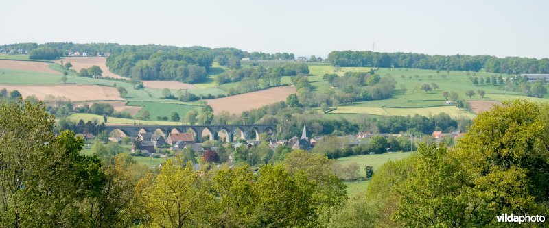 Landschap