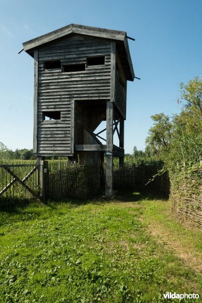 Vogelkijktoren