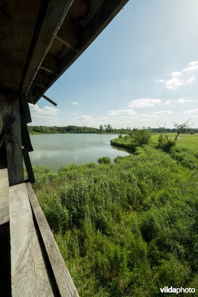 Vogelkijktoren