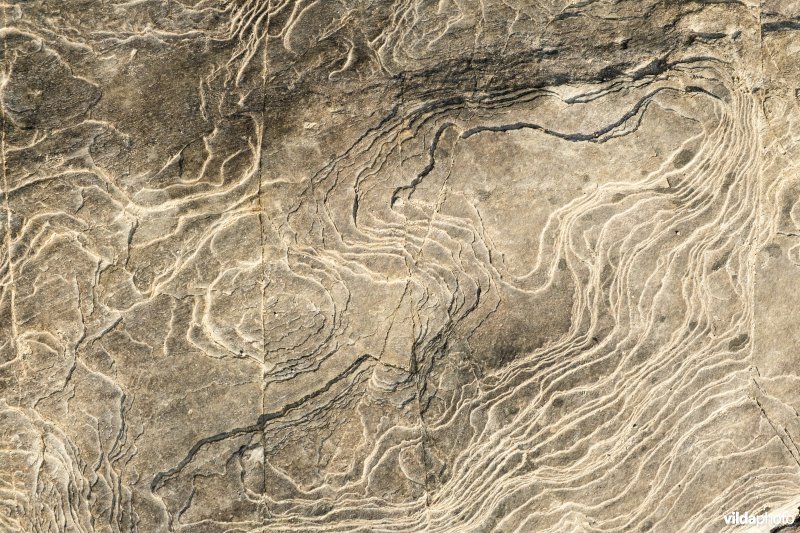 Patronen in de rivierbedding van de Tarn