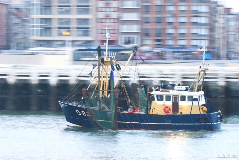 Vissersboot in de haven van Oostende