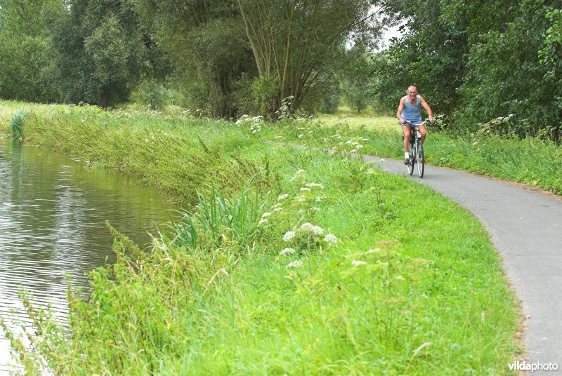 Fietsers langs de Dender