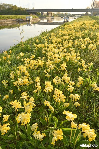 Kanaal Nieuwpoort-Duinkerke