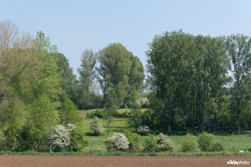 Kleinschalig landschap