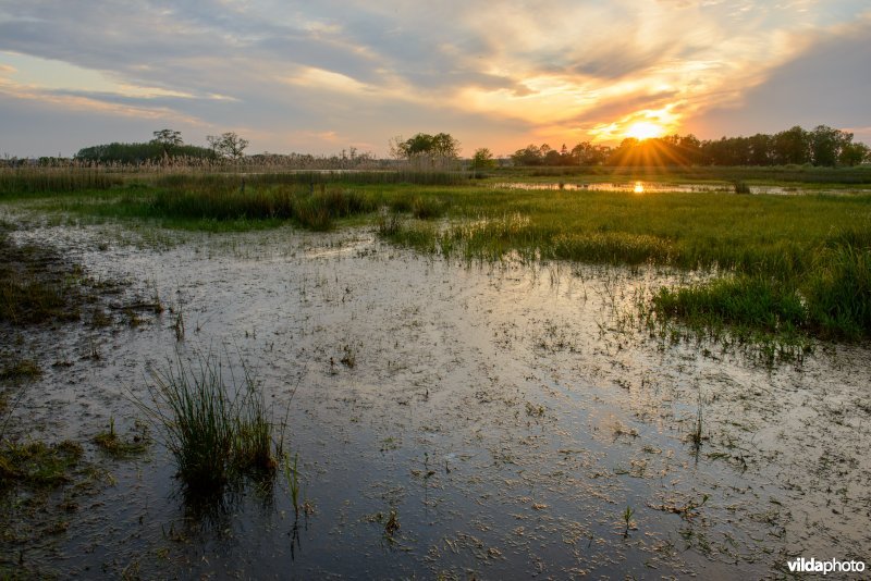 Empese en Tondense Heide