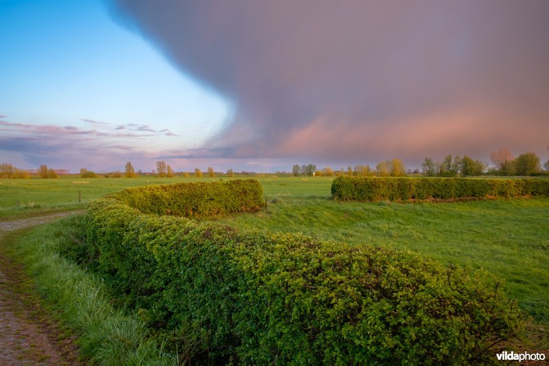 Uiterwaarden van de IJssel, Nederland