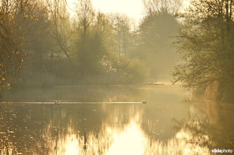 Scheldemeander De Kriephoek