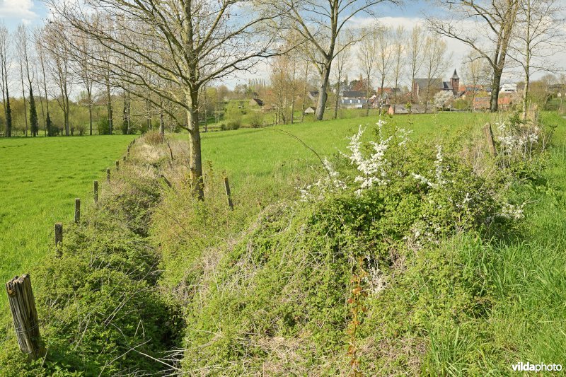 Sint-Blasius-Boekel