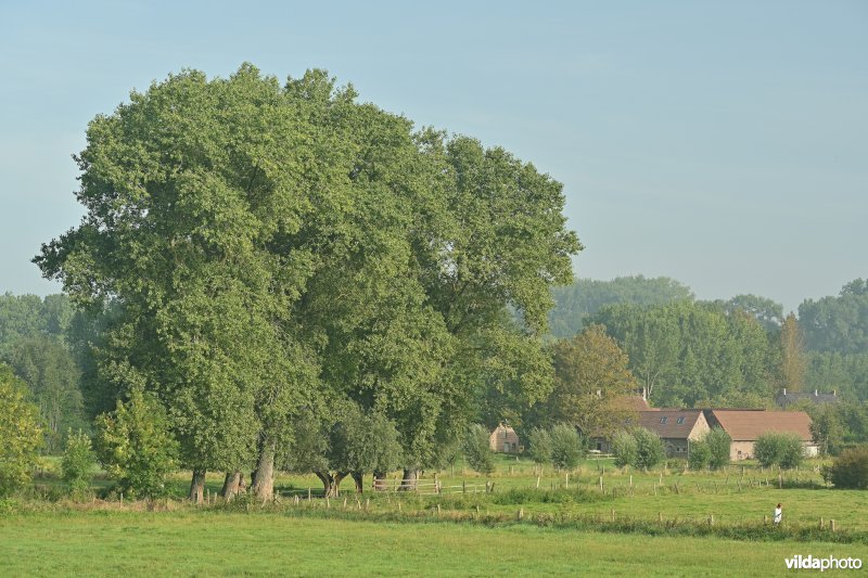 Etikhove