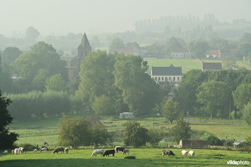 Maarke-Kerkem