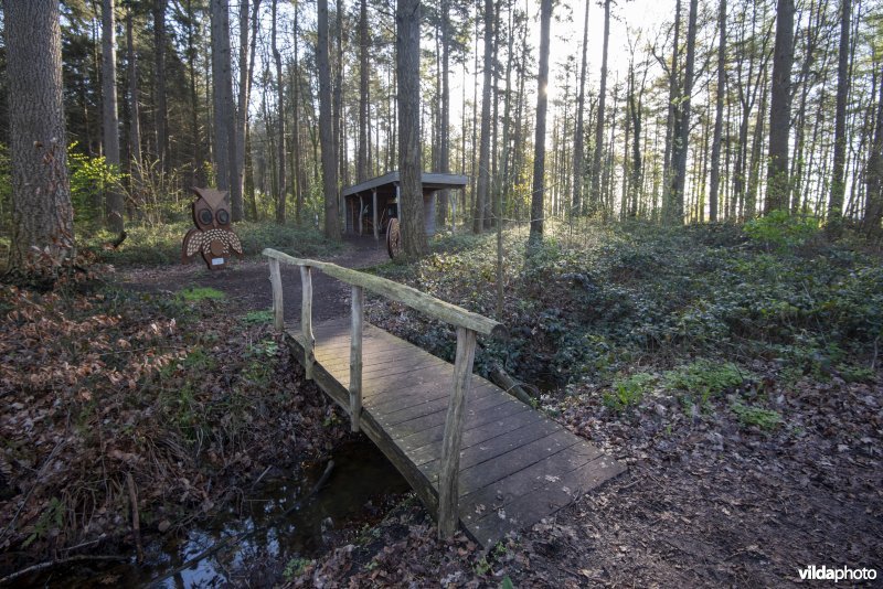 onthaalpunt met geboortemonument in het provinciaal natuurdomein Hospicebossen