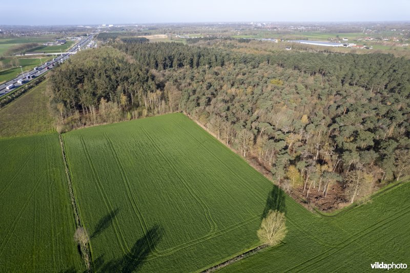 luchtfoto van het Provinciaal natuurdomein Hospicebossen