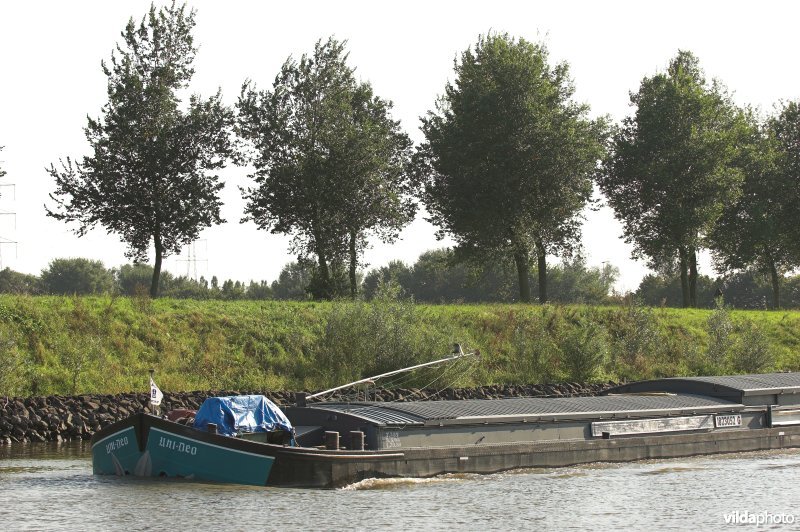 Vrachtschip op de Leie