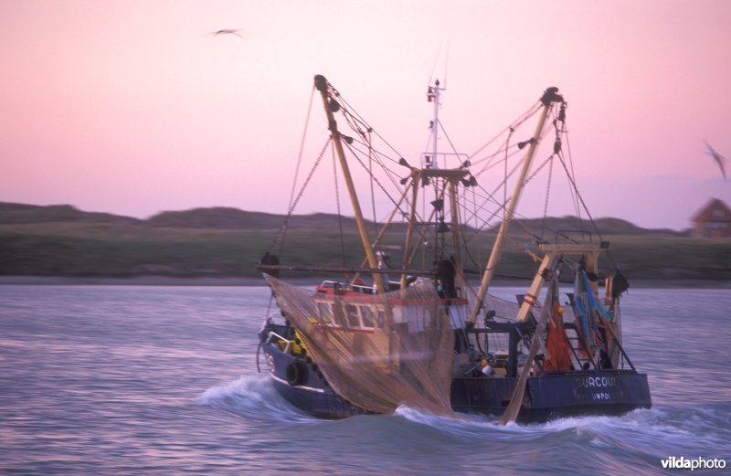 Vissersboot vaart uit