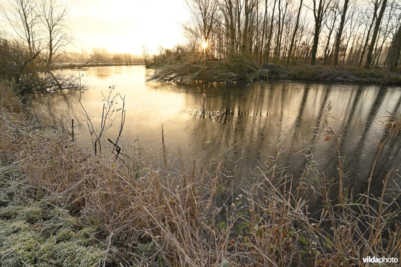 Winterse Scheldevallei in Heurne