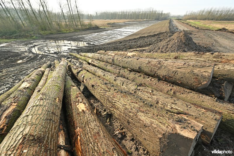 Vlassenbroekse Polder 