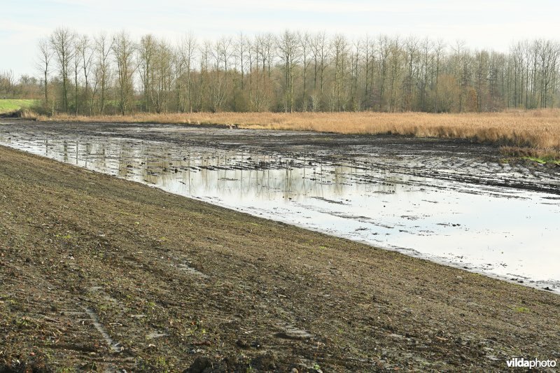 Vlassenbroekse Polder (R)