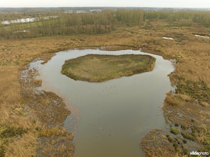 Vlassenbroekse Polder 