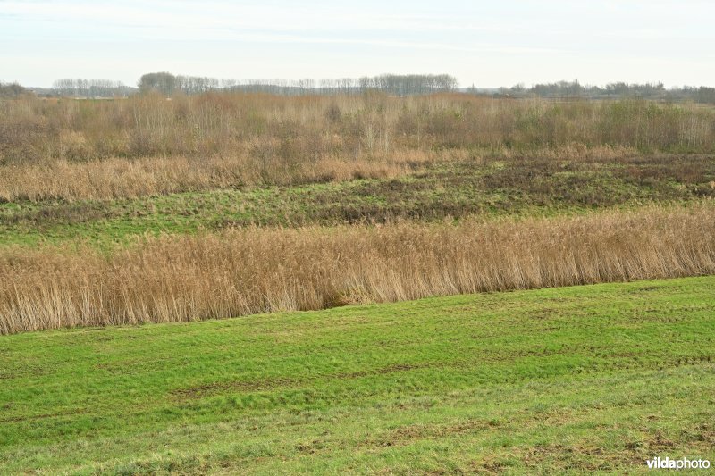 Vlassenbroekse Polder (R)