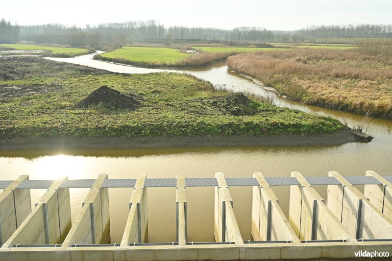 Vlassenbroekse Polder 