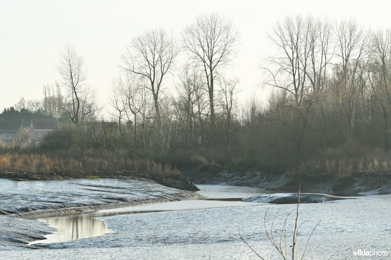 Groot Schoor in Hamme