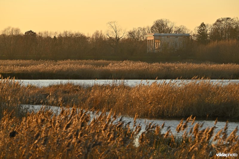 Polder van Lier