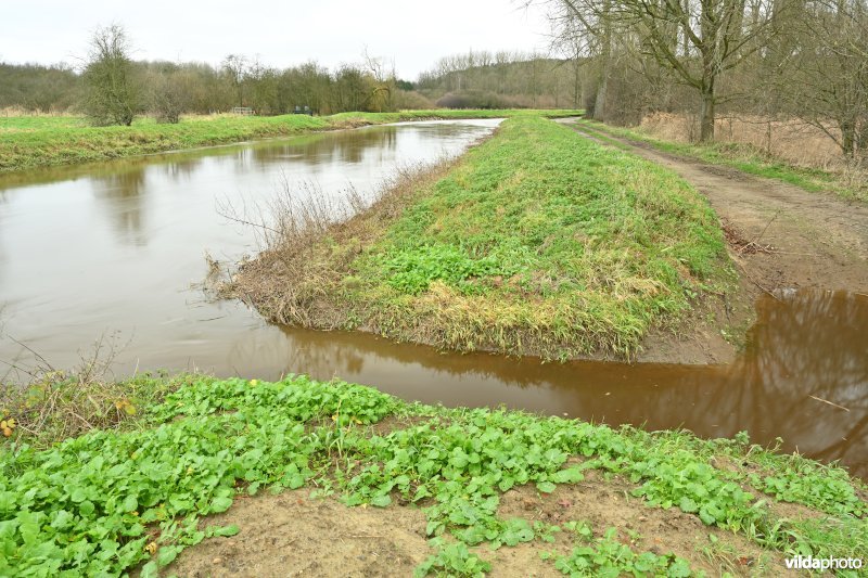 Demervallei: Kloosterbeemden